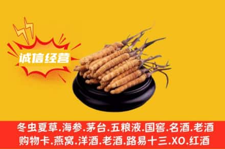临沧回收冬虫夏草